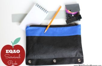 EQAO-Survival-Pack