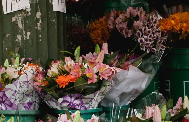 flowers