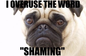 shame-dog-1-1024x768