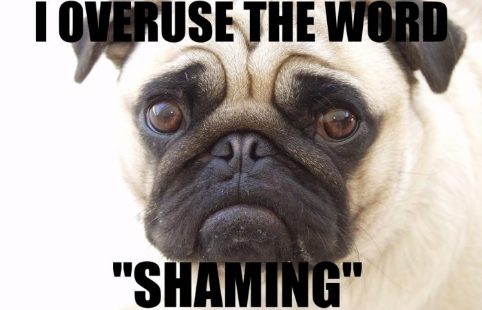 shame-dog-1-1024x768