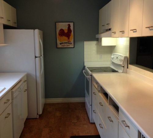 white-galley-kitchen