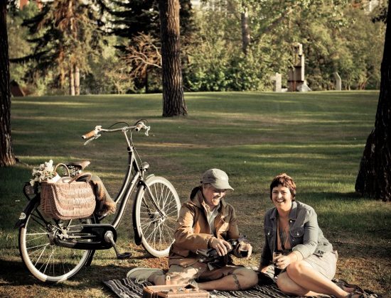 bicycle-picnic