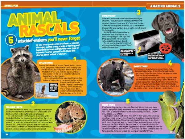Animal-rascals