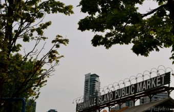 DSC_0207