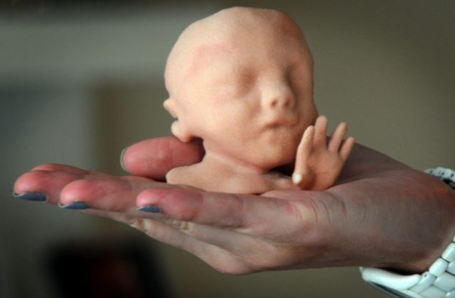 baby_3d_model_0