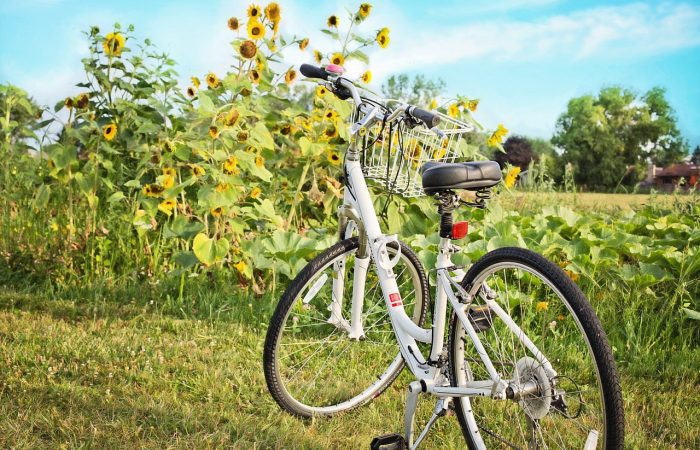 bicycle-871265_1280