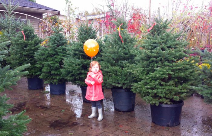 tree2_DiscoveringParenthood