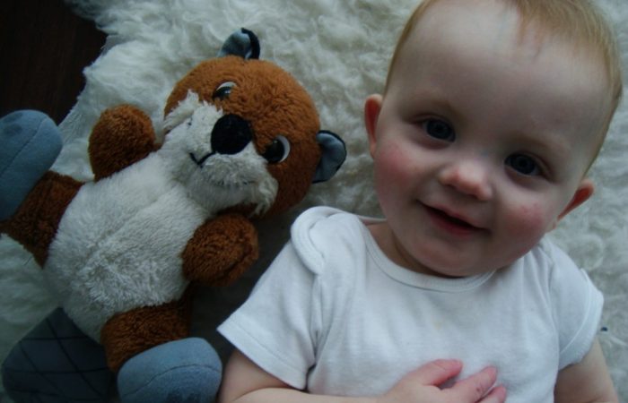 12-months-1024x768