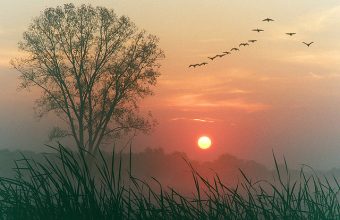 medium_1531979022