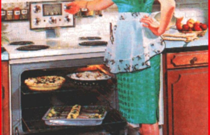 50s-housewife-all-mod-cons
