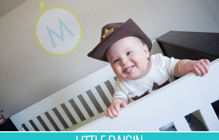 littleraisin