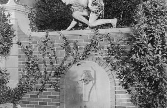 stock-tarzan-on-wall-2