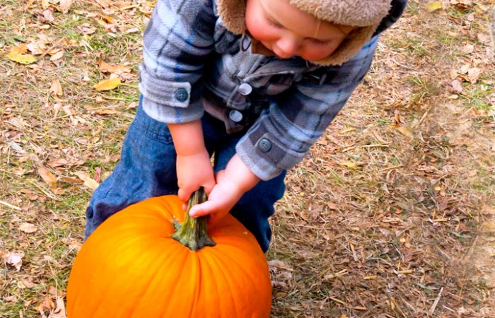pumpkin-patch-title