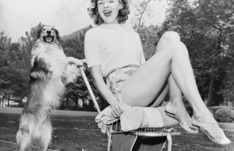 dog-and-mom