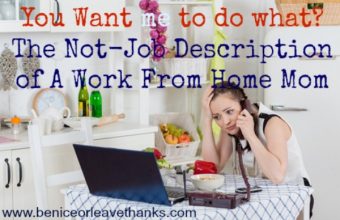 The-Not-Job-Description-of-a-Work-From-Home-Mom.jpg