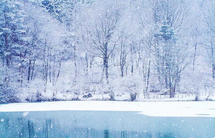 Cold-Nature-732225