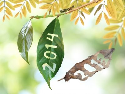 turning-new-leaf-new-year-2014