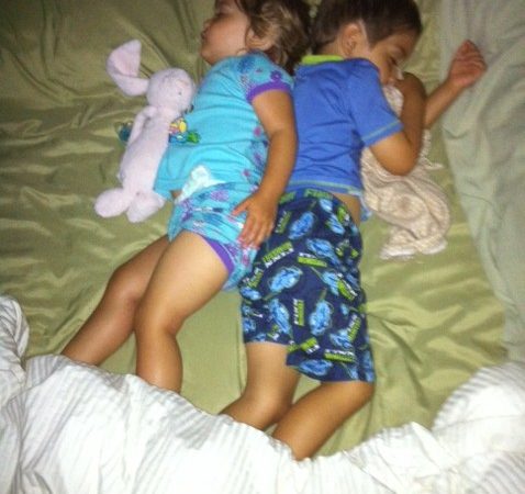 sleeping-bunnies