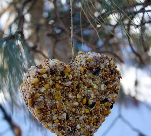Homemade-Heart-Birdfeeder-e1294930285406