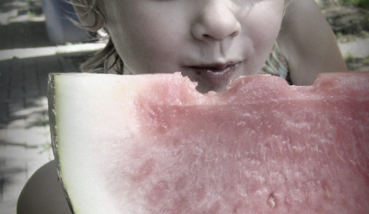 gav-watermelon-holgalish1