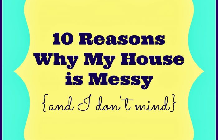 reasonsforamessyhouse