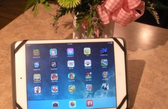 ipad-mini-01-919x1024