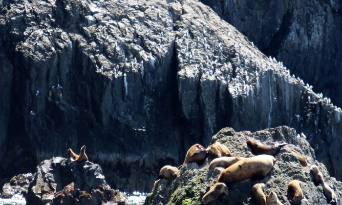 Dont-Miss-This-in-Alaska-EL