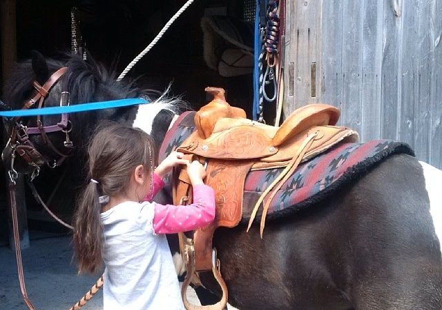 kicking-mule-riding-lessons