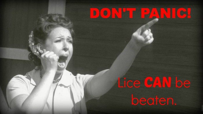 lice_can_be_beaten
