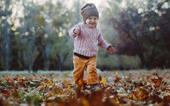 the_savvy_guide_to_november_in_ottawa