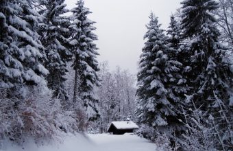 cabin-1024x768