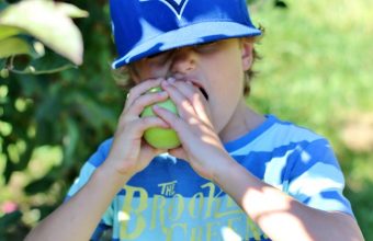 applepickingkai-682x1024