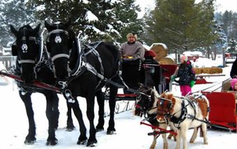 where_to_get_a_sleigh_ride_in_ottawa