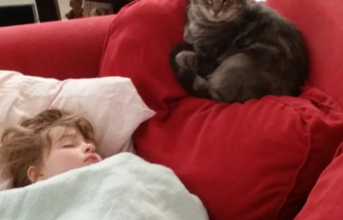 molly-and-tara-768x1024