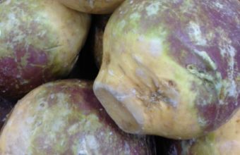 rutabaga-cover