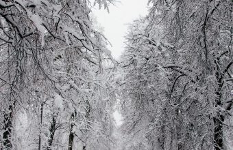 How-to-Prepare-for-Winter-Storms-680x1024