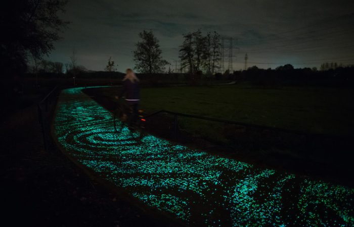 Starry-Night-Bike-Path
