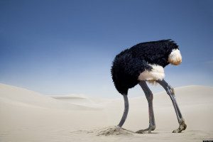 ostrich-with-head-in-sand-300x200