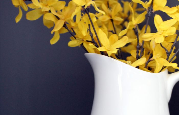 YELLOW-FLOWERS-WHITE-PITCHER-GREY-WALL