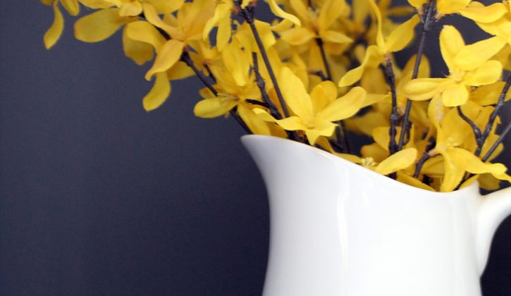 YELLOW-FLOWERS-WHITE-PITCHER-GREY-WALL
