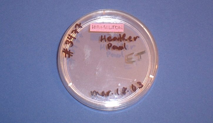 embryo2Bdish-2Bty27s2Bfirst2Bhome-zoom-1