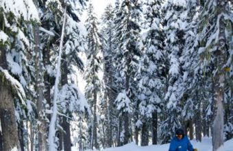 whistler-ski-school