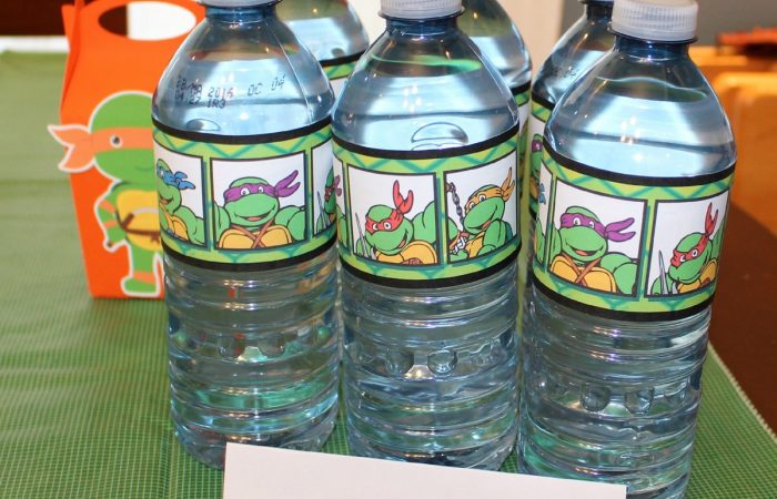 teenage-mutant-ninja-turtle-party-food-idea-2