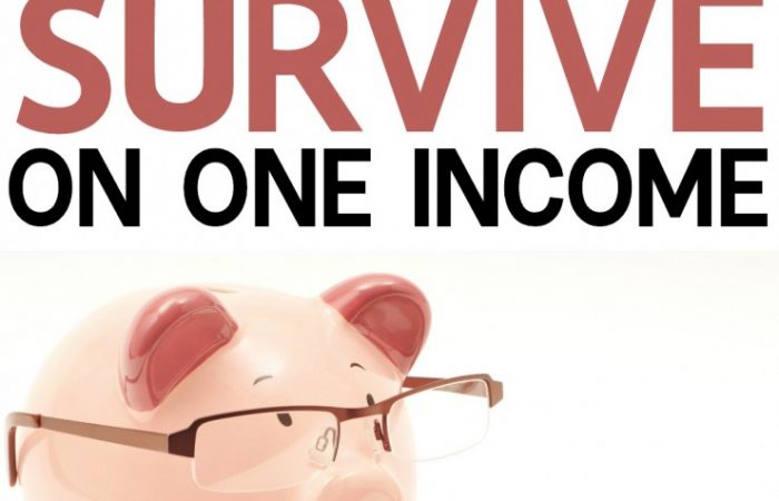 How-to-Thrive-and-Not-Just-Survive-on-ONE-Income