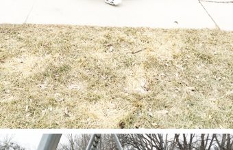 spring-days
