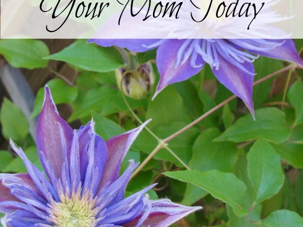 10-things-to-do-with-your-mom-today-1