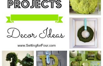 Moss-Projects-Decor-Ideas-from-Set25255B325255D