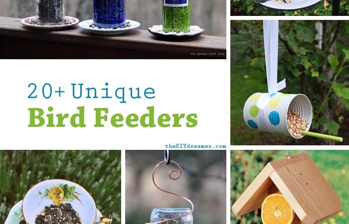 bird-feeder