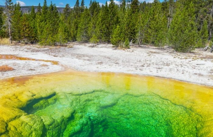 Best-Places-to-camp-in-Yellowstone-National-Park