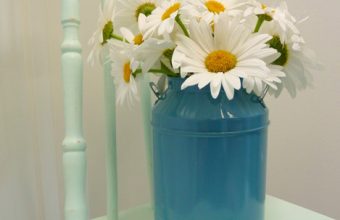 DIY-Chalk-Paint-free-mint-chair-entry-at-thehappyhousie